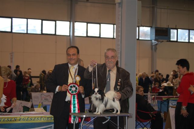 BOB and also best junior of the show.thanks to the judge 